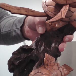 Turtle Single